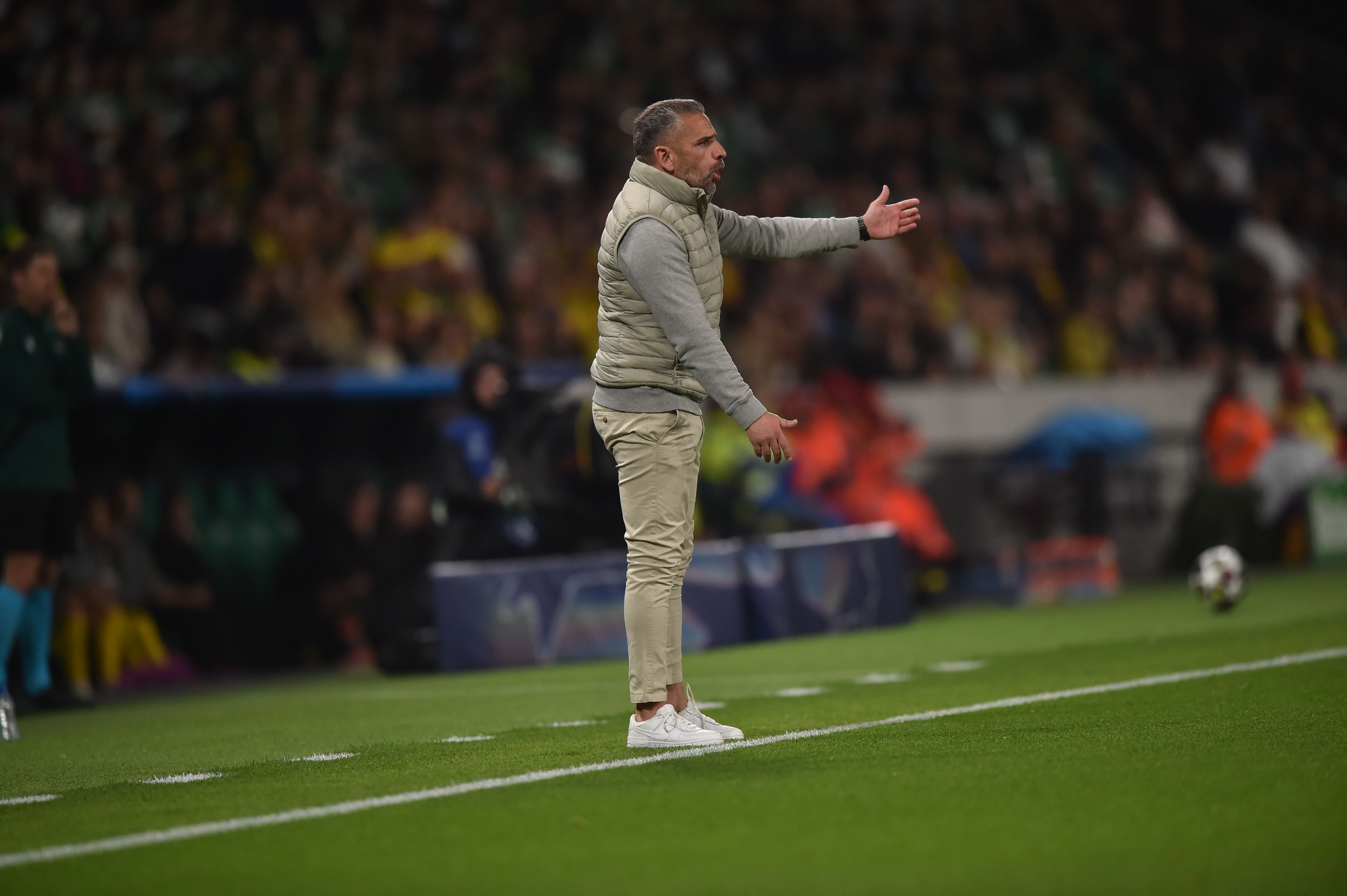 Rui Borges no banco do Sporting no jogo frente ao Bodo/Glimt - Foto: Miguel Nunes
