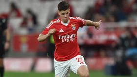 Benfica: presidente do Besiktas admite que tinha fechado Dahl