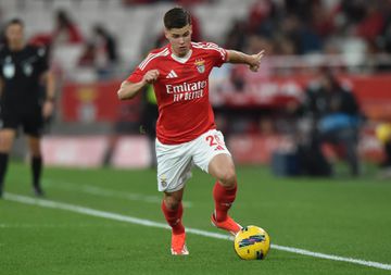 Benfica: presidente do Besiktas admite que tinha fechado Dahl