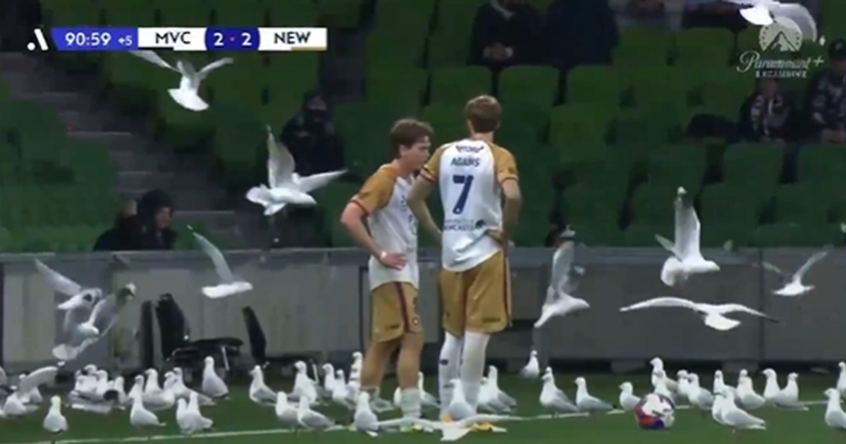 VÍDEO: esta tem de ser a melhor manobra de distração de sempre num livre!