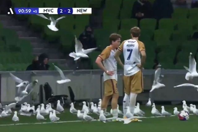 VÍDEO: esta tem de ser a melhor manobra de distração de sempre num livre!