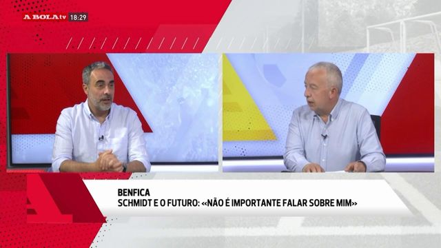 «Nada do que Roger Schmidt disse está errado»