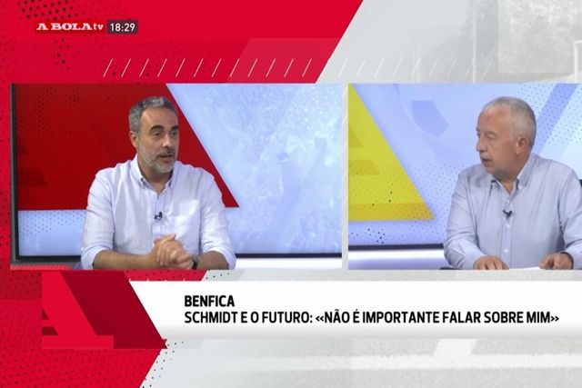 «Nada do que Roger Schmidt disse está errado»