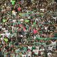 Sporting: bilhetes para a Champions à venda esta sexta-feira