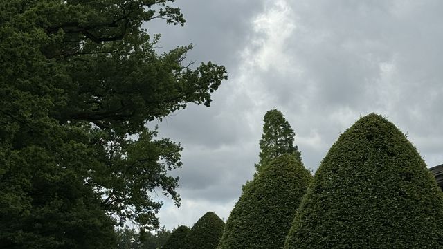 Seleção já saiu do hotel para viajar para Leipzig