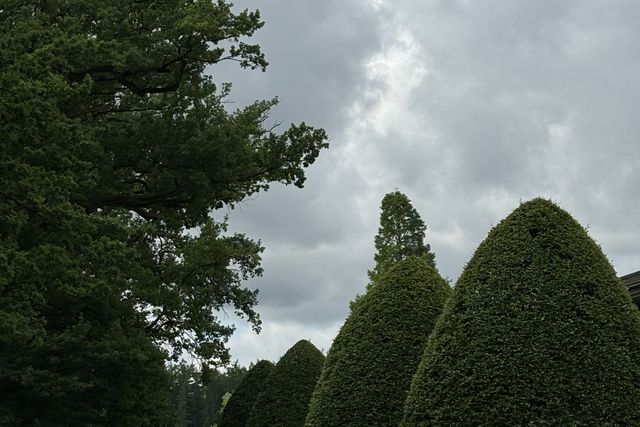 Seleção já saiu do hotel para viajar para Leipzig