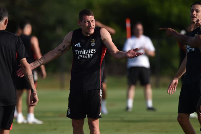 «Benfica devia apostar em Belotti»
