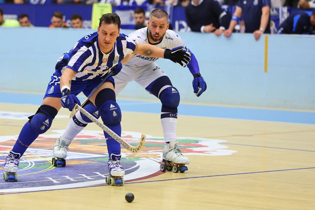 Galos e dragões em despique na Catedral