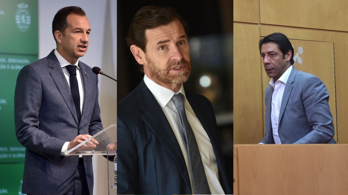 Três grandes lideram na transparência online, mas Portugal deve melhorar