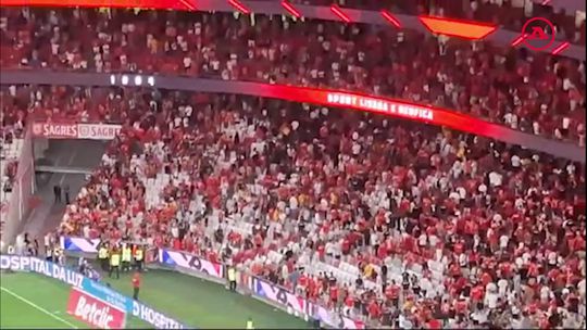 Incidentes nas bancadas da Luz ao intervalo do Benfica-Casa Pia