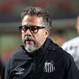 Santos despede Cleber Xavier após humilhação frente ao Vasco Foto: IMAGO