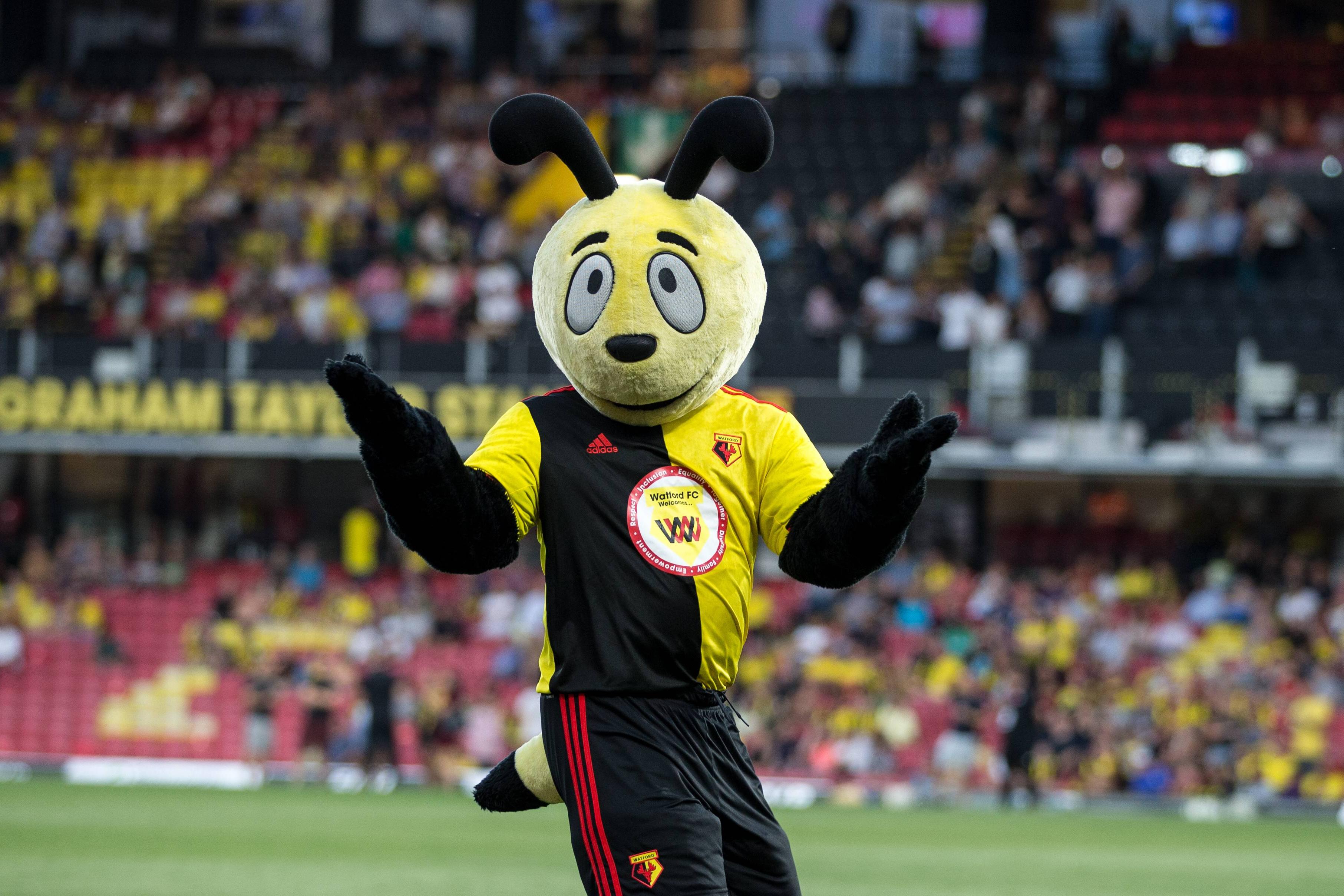 Harry the Hornet, mascote do Watford (IMAGO)