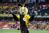 Harry the Hornet, mascote do Watford (IMAGO)