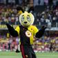 Harry the Hornet, mascote do Watford (IMAGO)