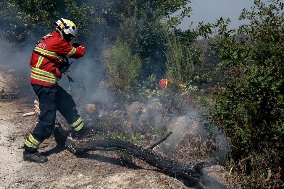 Três bombeiros morrem durante combate ao fogo