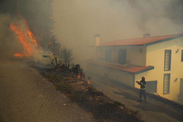 FPF decreta minuto de silêncio pelas vítimas dos incêndios