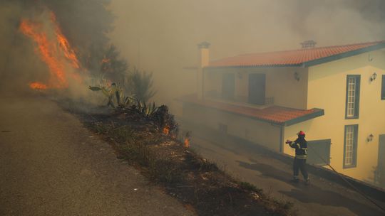 FPF decreta minuto de silêncio pelas vítimas dos incêndios