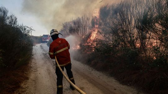 Benfica e FC Porto solidários com as vítimas dos incêndios