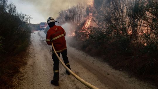 Judiciária detém suspeito de atear 4 fogos em Sever do Vouga