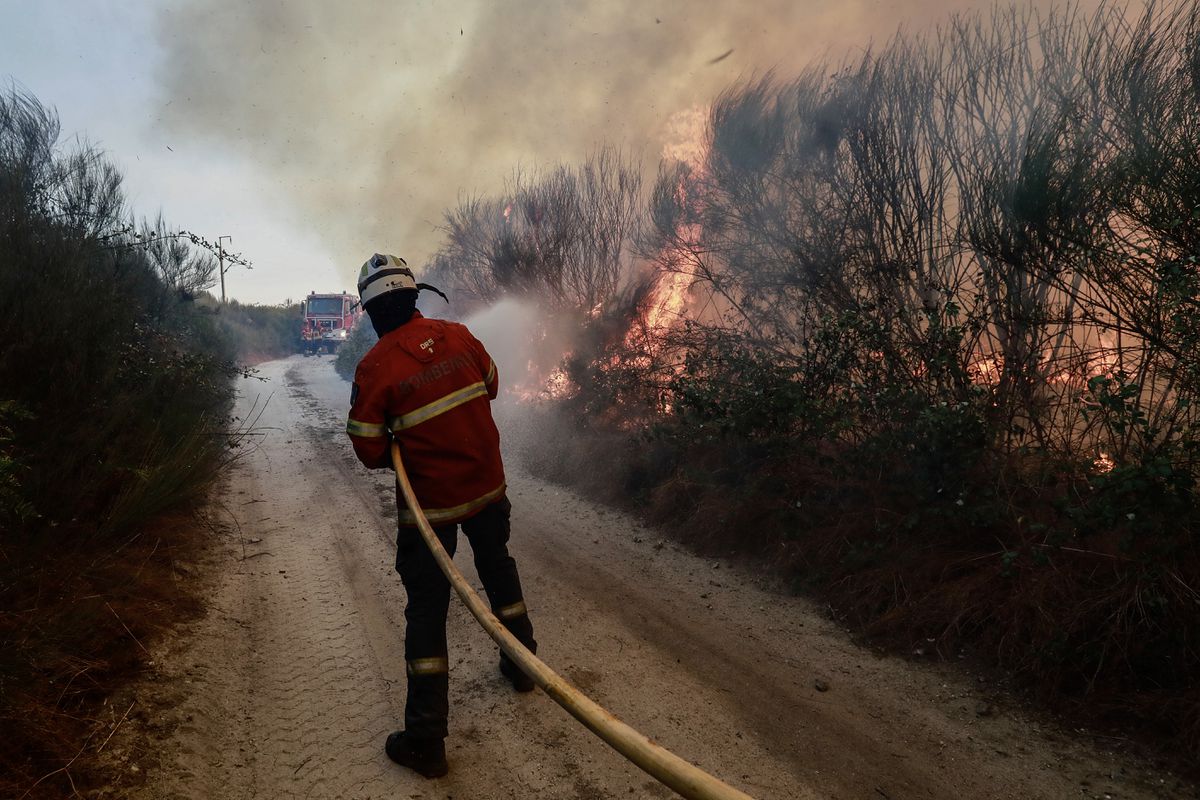 Judiciária detém suspeito de atear 4 fogos em Sever do Vouga