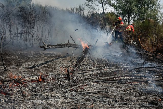 Incêndios: PJ faz buscas à Força Aérea e a empresas de helicópteros por corrupção