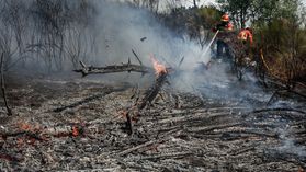 Incêndios: PJ faz buscas à Força Aérea e a empresas de helicópteros por corrupção