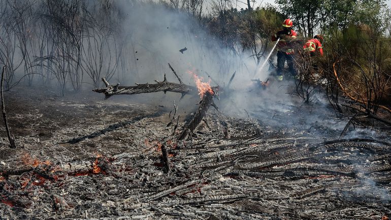 Incêndios: PJ faz buscas à Força Aérea e a empresas de helicópteros por corrupção