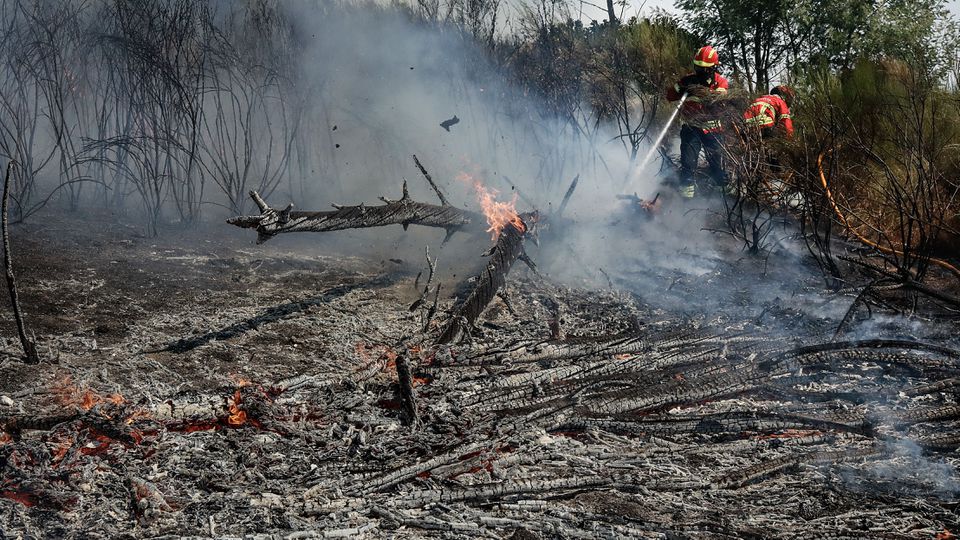 Homenagem às vítimas dos incêndios antes do Sporting-Lille