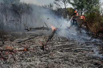 Homenagem às vítimas dos incêndios antes do Sporting-Lille