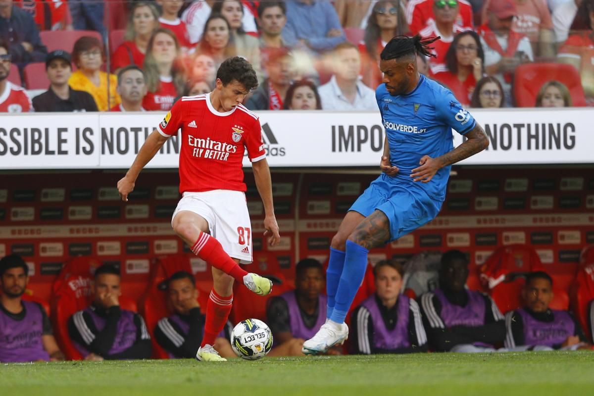 Transmissão] Sporting Braga e SL Benfica ao vivo Veja onde, Fan Group