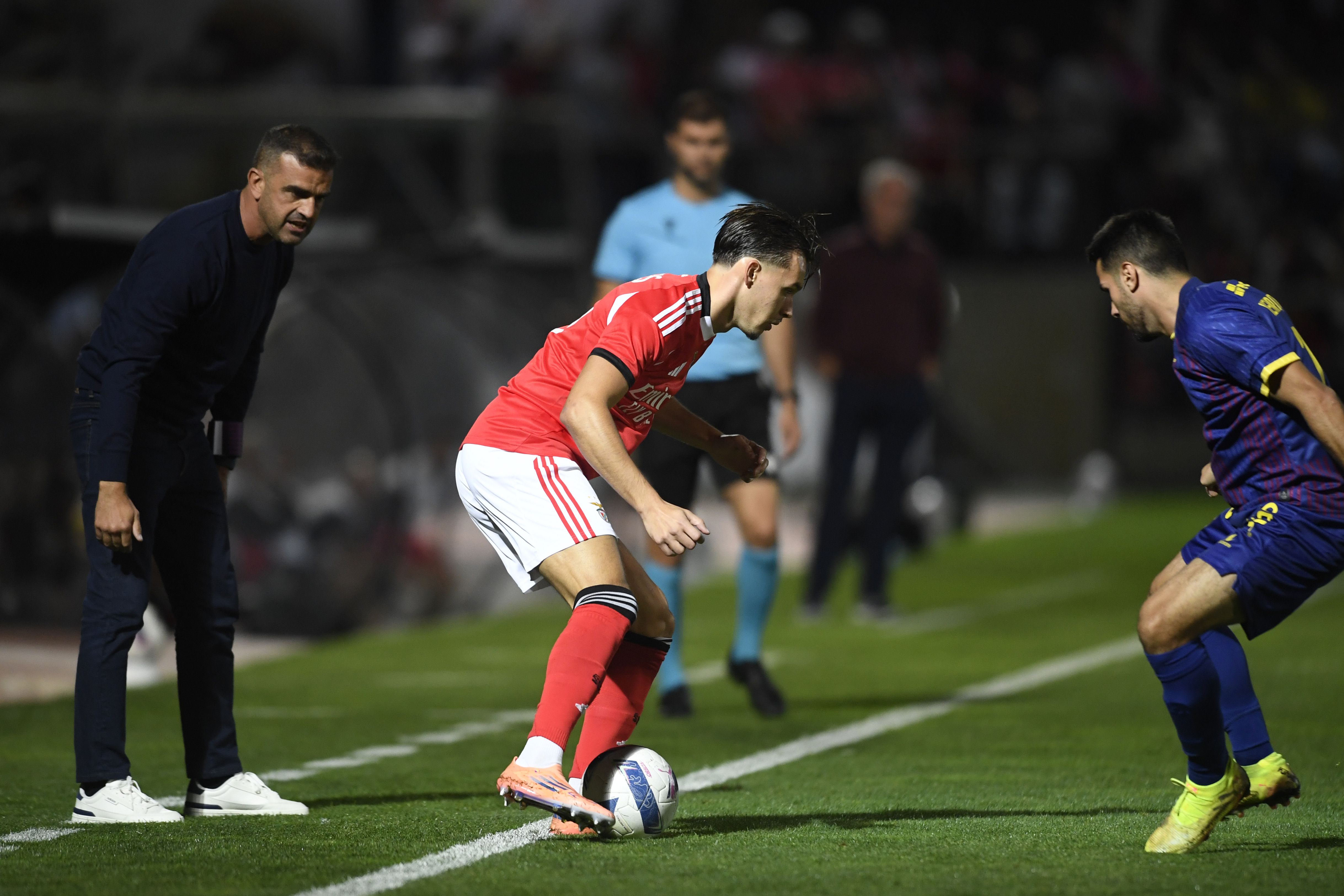 Dedic com olhar atento de Filipe Martins - Foto: Miguel Lemos/Kapta+