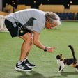 Jorge Jesus com um gato antes do treino do Al Nassr - Foto: Al Nassr