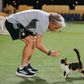 Jorge Jesus com um gato antes do treino do Al Nassr - Foto: Al Nassr