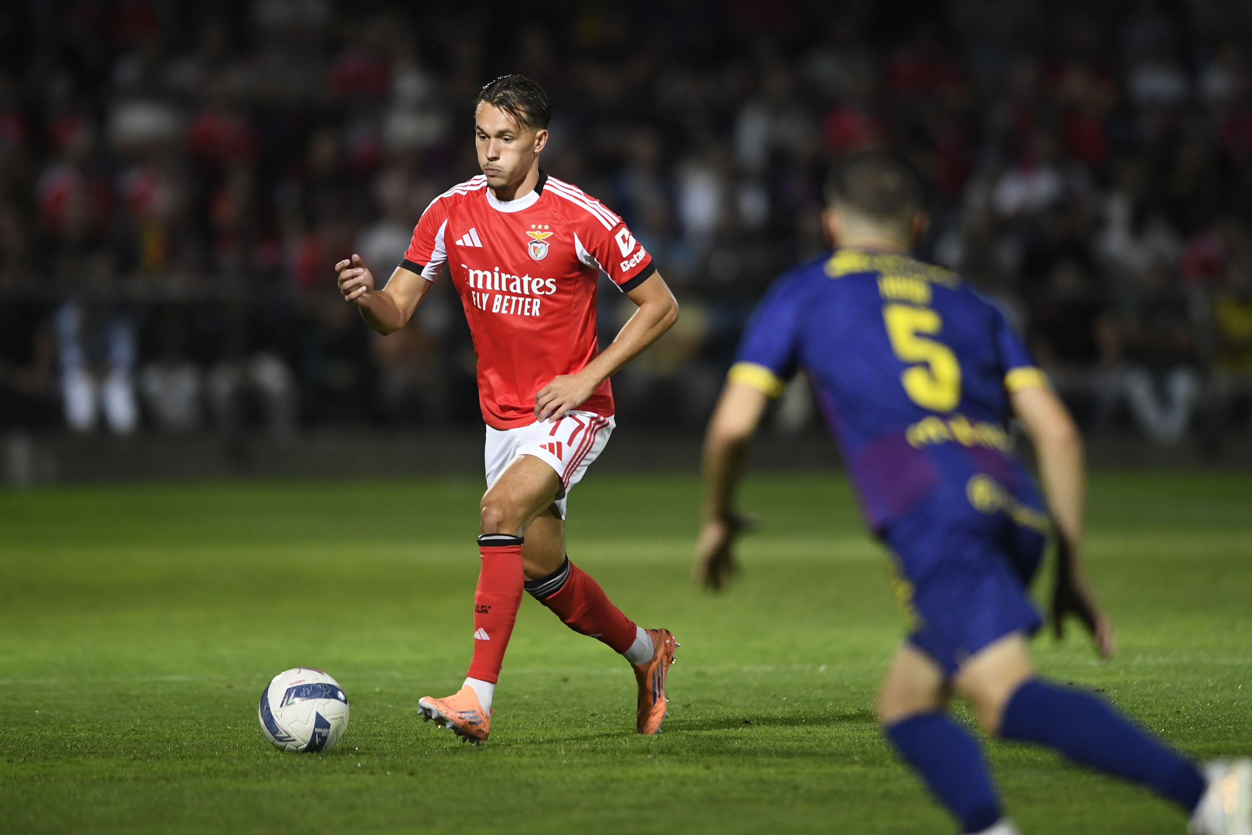 Dedic - Foto: Miguel Lemos/Kapta+