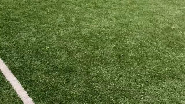 Quem sabe não esquece: Ibrahimovic a fazer das suas