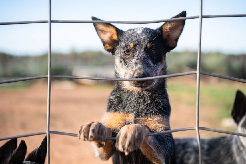 Imagem ilustrativa - Foto: IMAGO