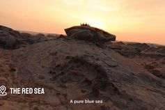 CR7 sobre a Arábia Saudita: «Vim pelo futebol, fiquei por mais...»