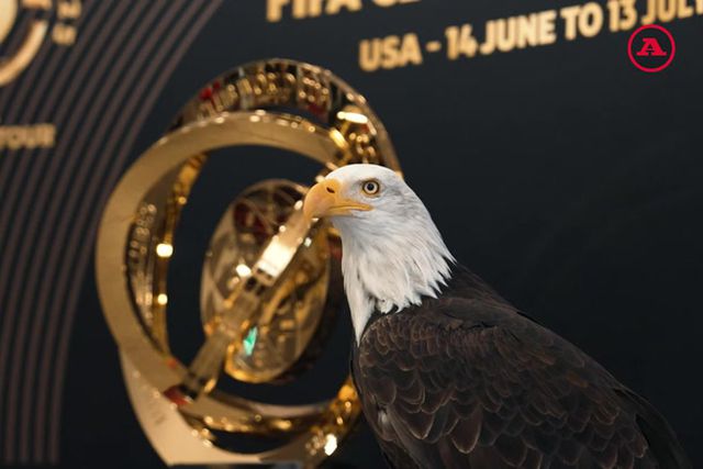 O troféu do Mundial de Clubes em exposição no Estádio da Luz