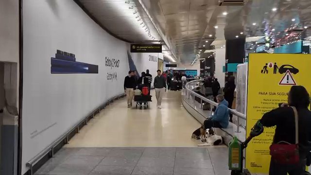 Faye já em Lisboa: «Estou feliz. Sporting é uma grande equipa»