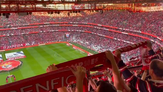 Luz canta hino do Benfica para o duelo com o Vizela