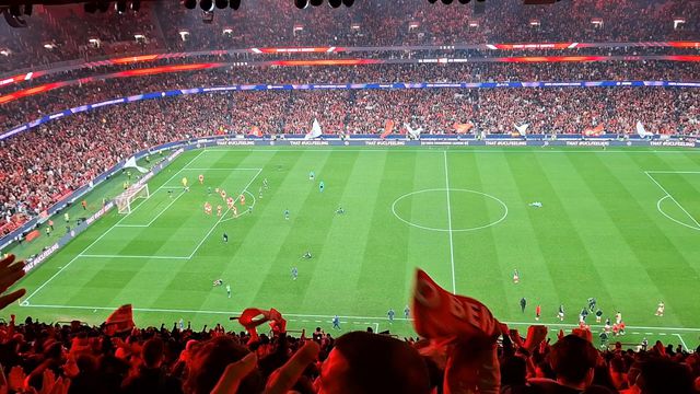 Euforia nas bancadas da Luz após o apito final