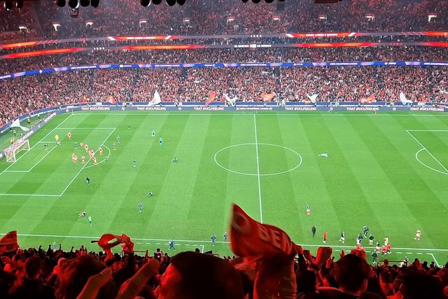 Euforia nas bancadas da Luz após o apito final