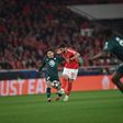 Vídeo: Kokçu faz o terceiro do Benfica e leva a Luz ao delírio
