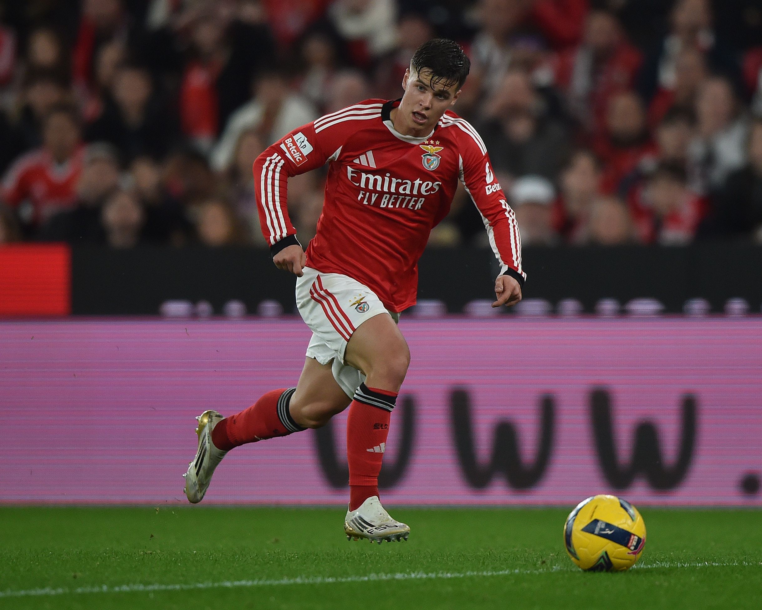 Samuel Dahl, 23 anos, herdeiro de Álvaro Carreras, é indiscutível na esquerda da defesa do Benfica — Foto: Miguel Nunes