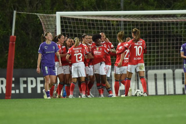 Festa do Benfica contra o SC Braga na meia-final da Taça de Portugal (foto: Miguel Nunes)