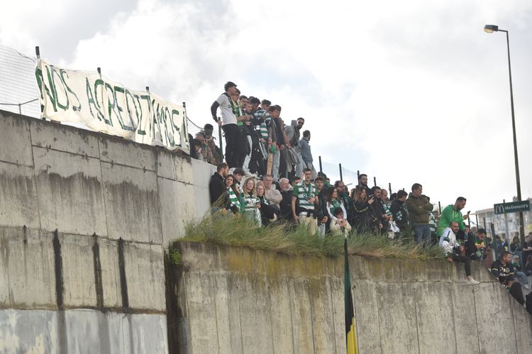 Ninguém quer perder a chegada da equipa a Alvalade e todos os locais são bons para os sportinguistas apoiarem