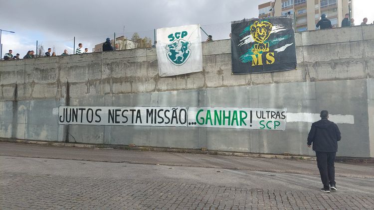 Mensagens de apoio aos leões