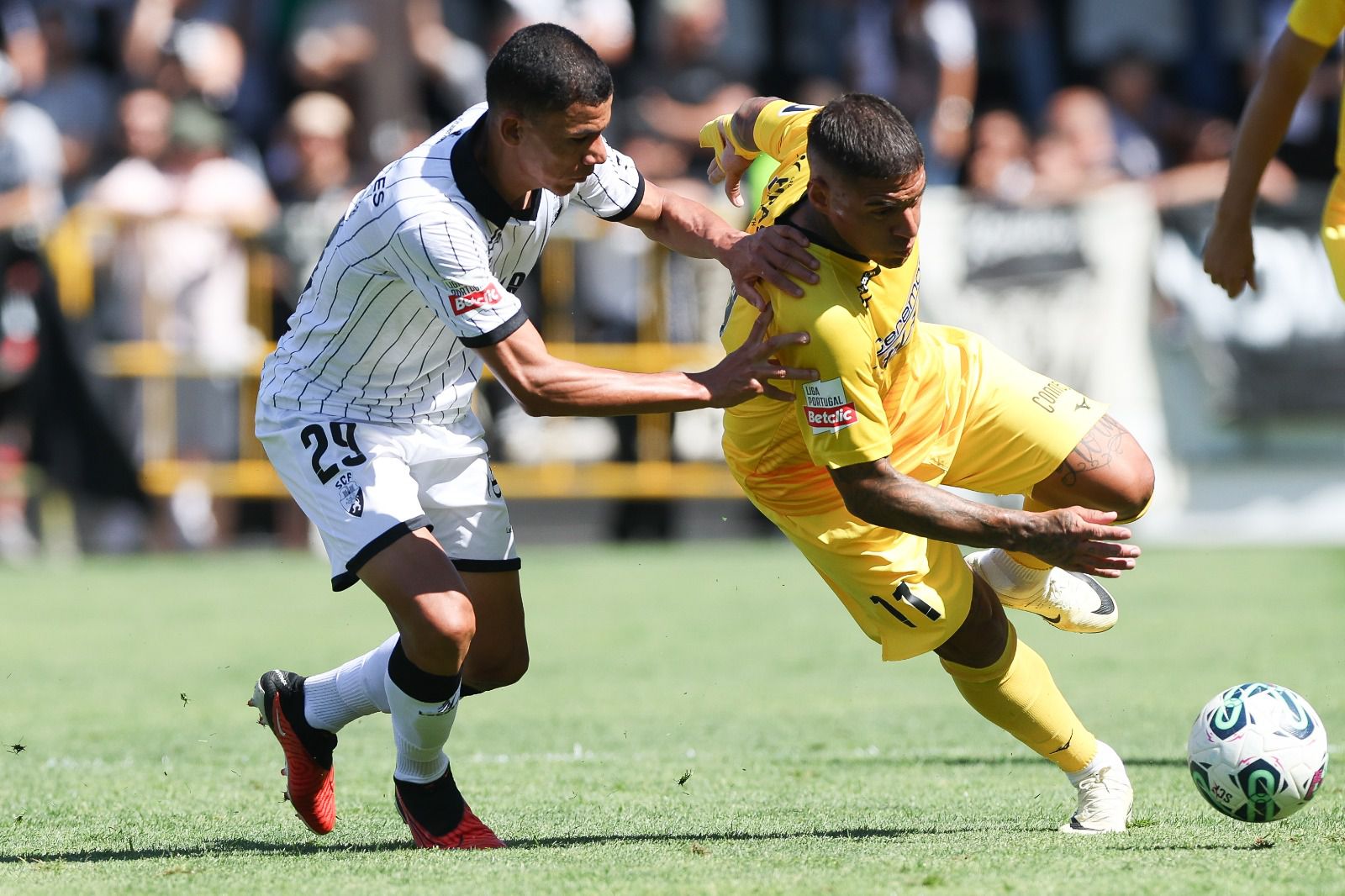 Farense: Falcão só não resiste aos cartões