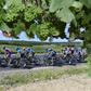 O Tour 2028 arranca na terra das vinhas do champanhe, em França. IMAGO
