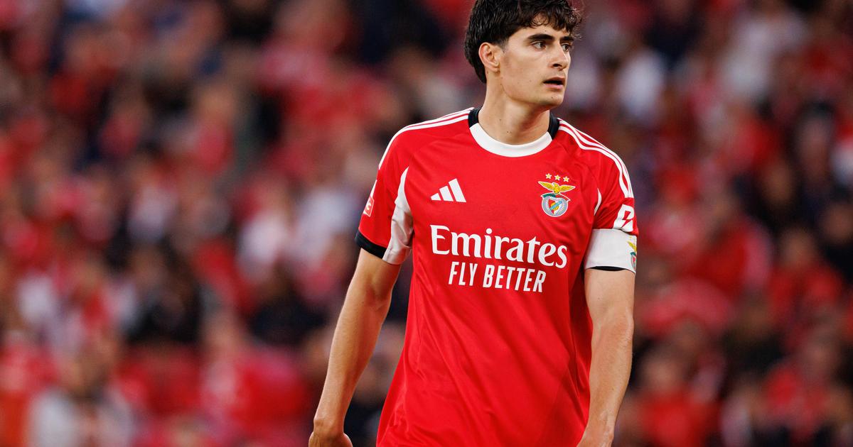 Benfica repudia «ataques inaceitáveis» e defende «filho» António Silva